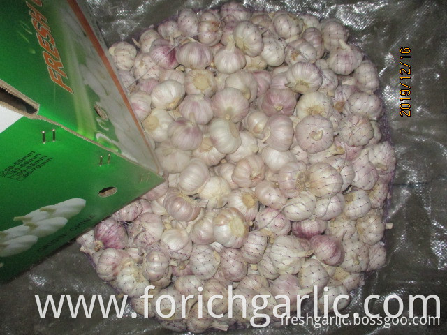 How To Cook Garlic Cloves